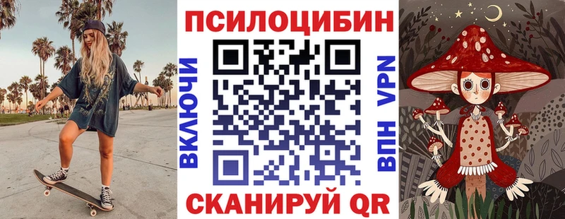 Псилоцибиновые грибы Magic Shrooms  закладки  mega ССЫЛКА  Каргат 